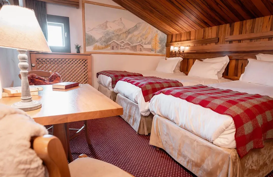 Hôtel Alpen Ruitor-1